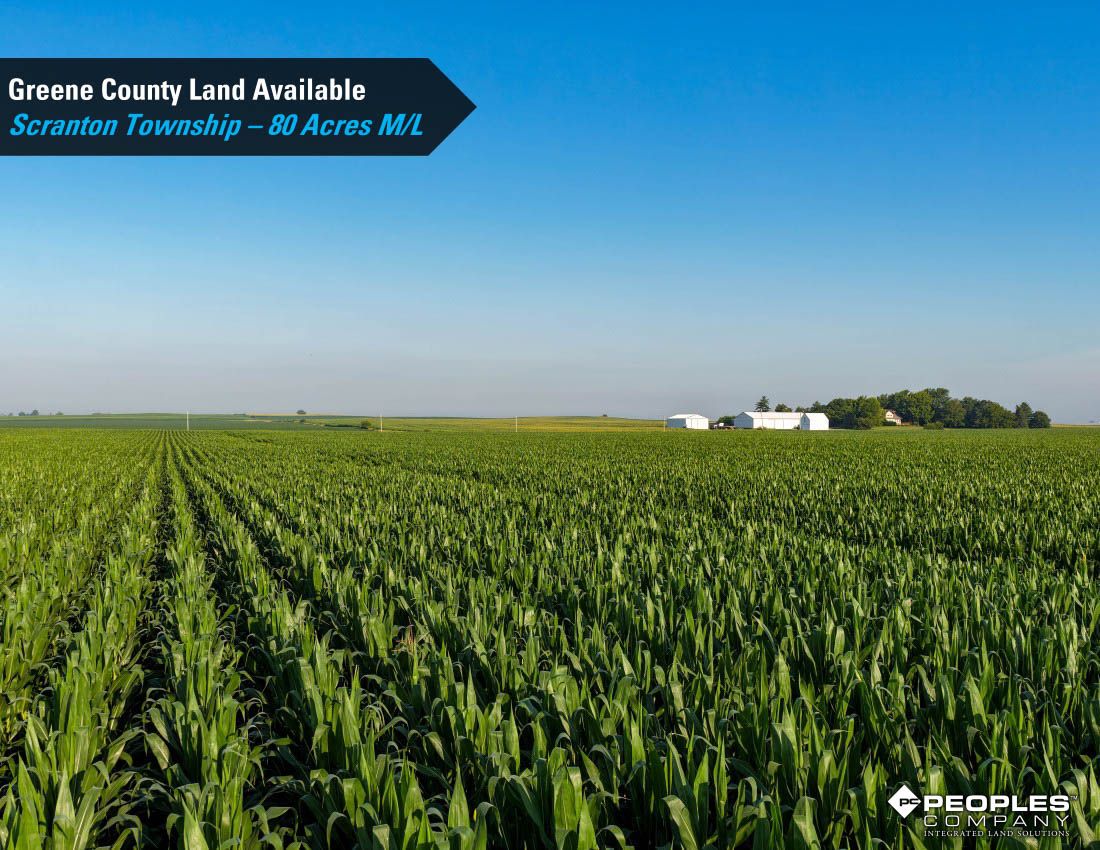 Listing Photo: Greene-County-Land-Available-Scranton-Iowa-80-Acres-19663 (11)